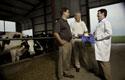 Center for Dairy Research