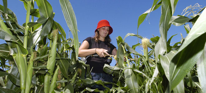 College of Agricultural and Life Sciences Agronomy graduate student Camilla Vargas