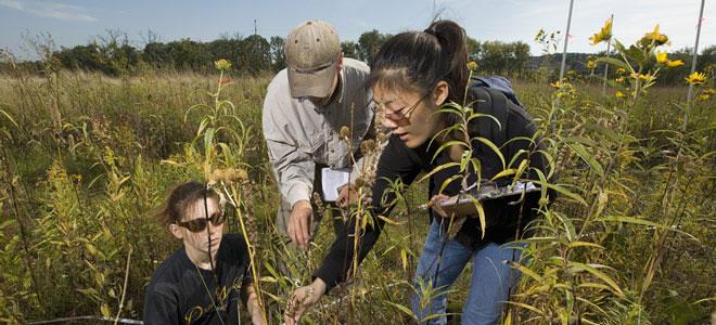 Ecological Field Experiment Ecological Field Experiment