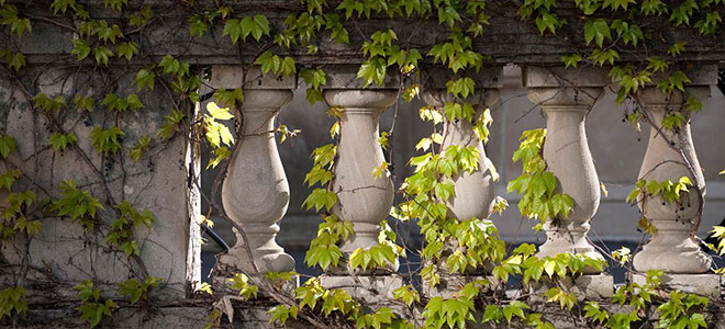 Memorial Union columns