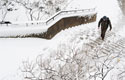Snowy pedestrian walkway