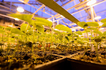 Monsanto Donates Middleton Facility