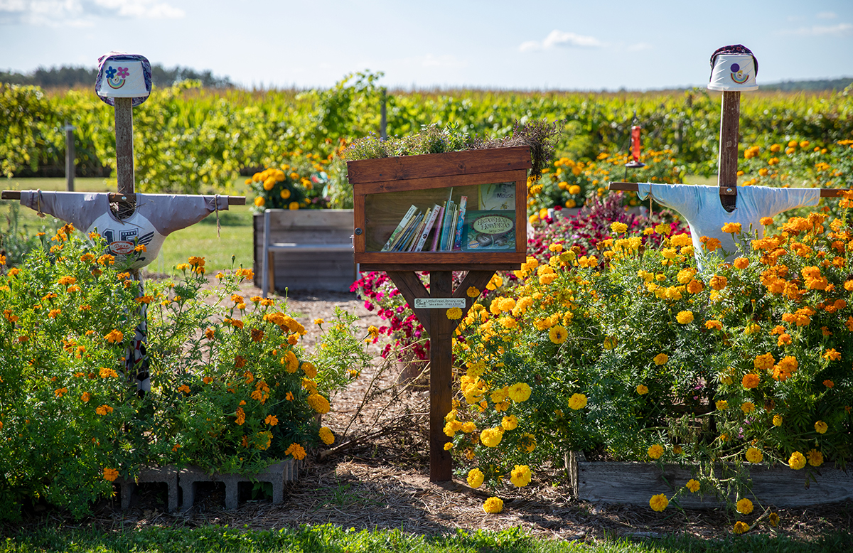 The children’s area of the display garden at the Spooner Agricultural Research Station.
