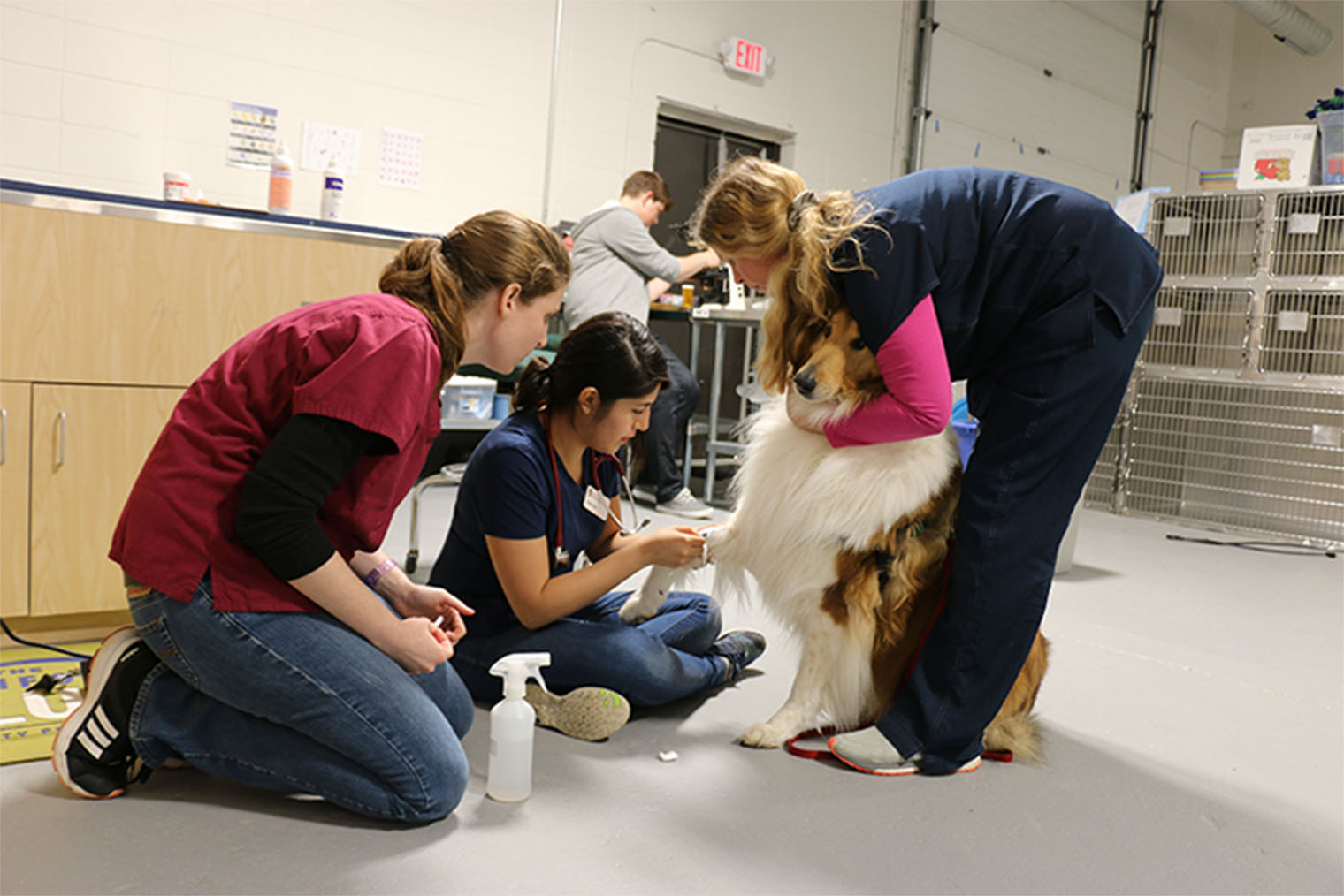 Students with a dog