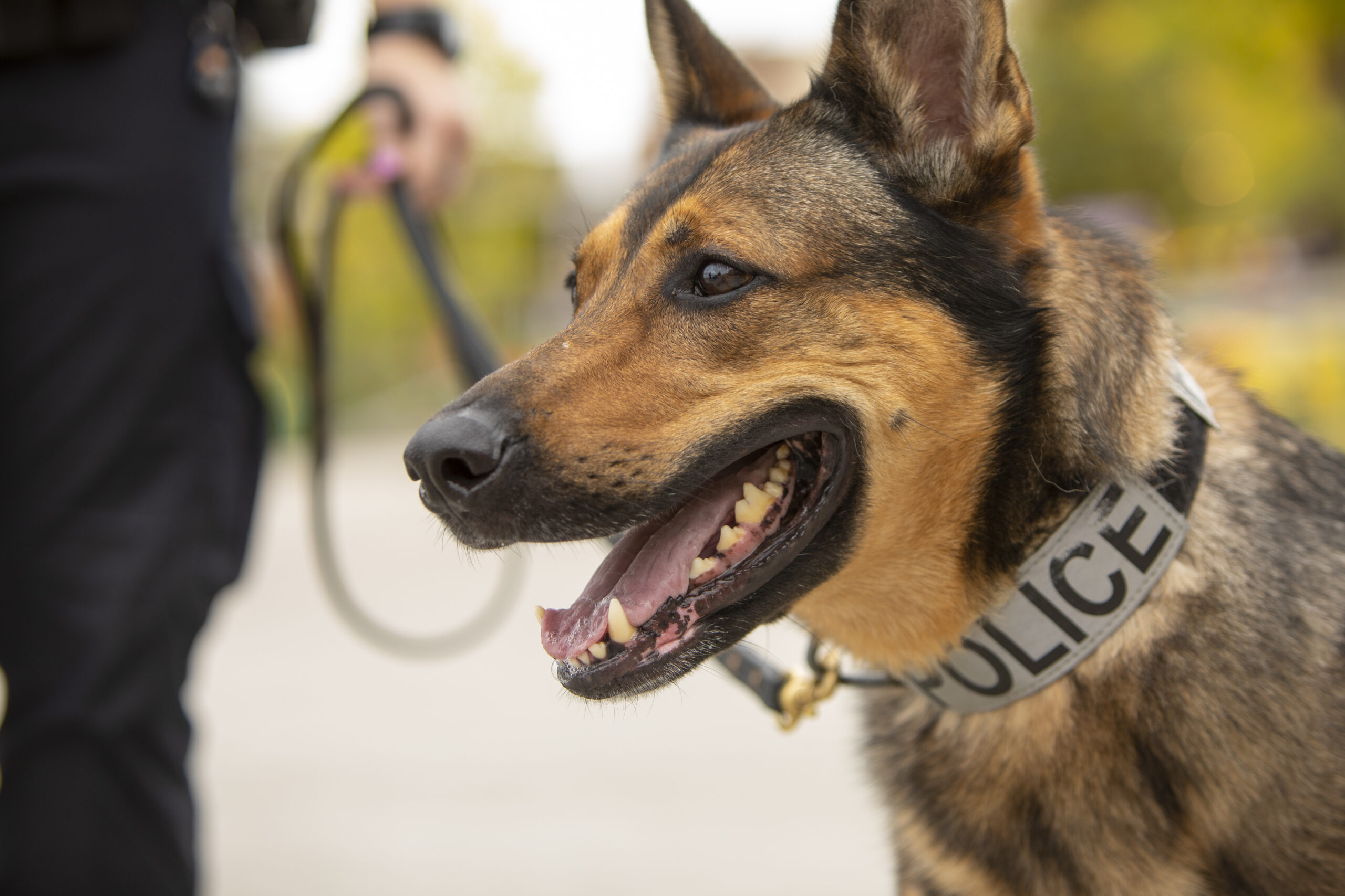 UW Police Department K-9