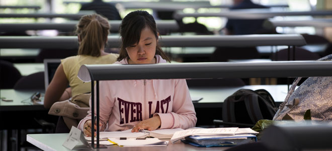 Studying in the Law School library