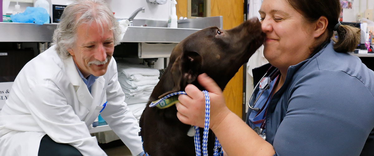 Two vets with a happy dog