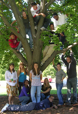 L&S Honors Fellows in tree L&S Honors Fellows in tree
