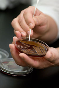 Microbial Sciences Microbial Sciences