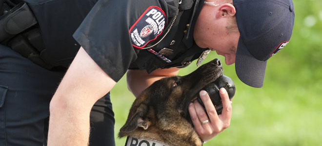 UW Police Department K-9 UW Police Department K-9