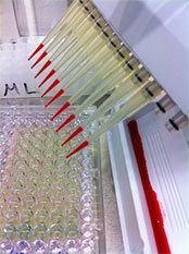 Research shows promise for a new approach to thwarting staph infections